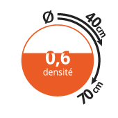 densite-hetre